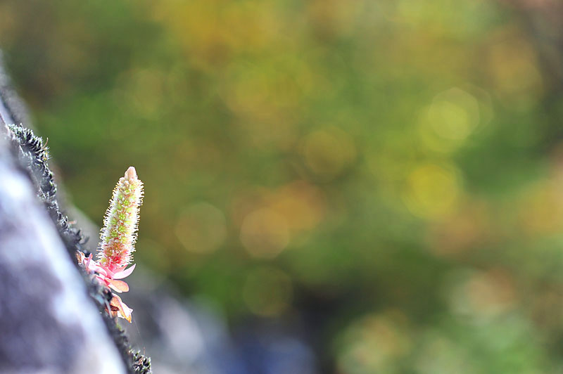 20121014_0242-1.jpg