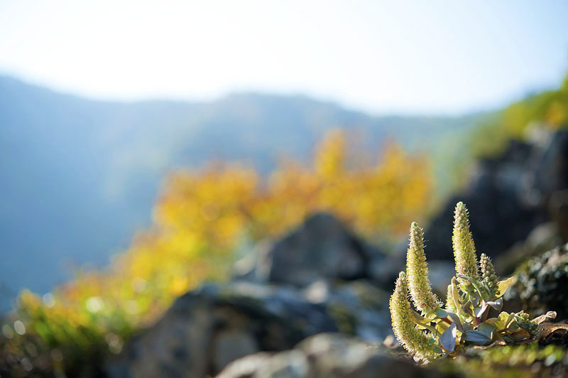 20121014_0201a-1.jpg