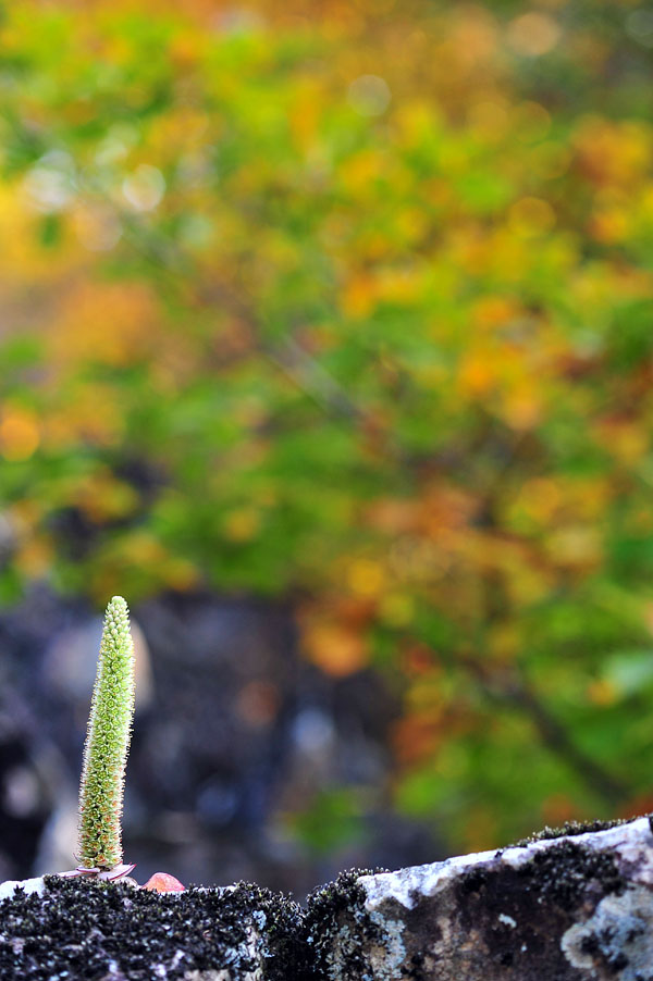 20121014_0236-1.jpg