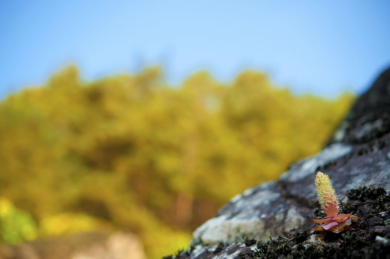 20121014_0228a-1.jpg