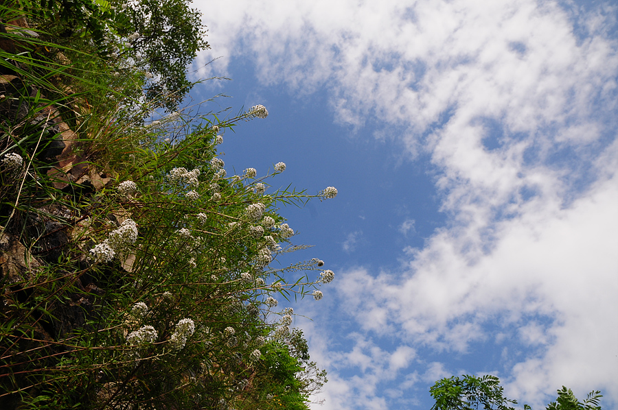 DSC_6422.jpg