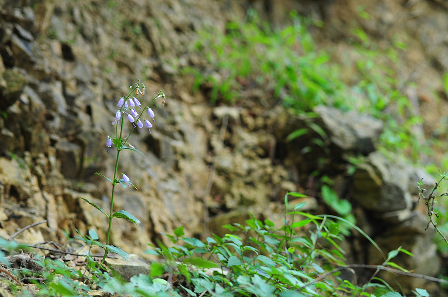 DSC_8046.jpg