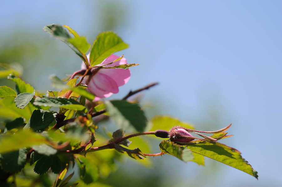 DSC_8027.jpg