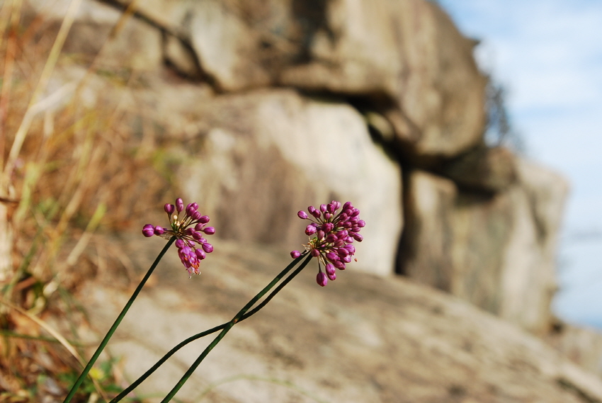 크기변환_DSC_0252.JPG
