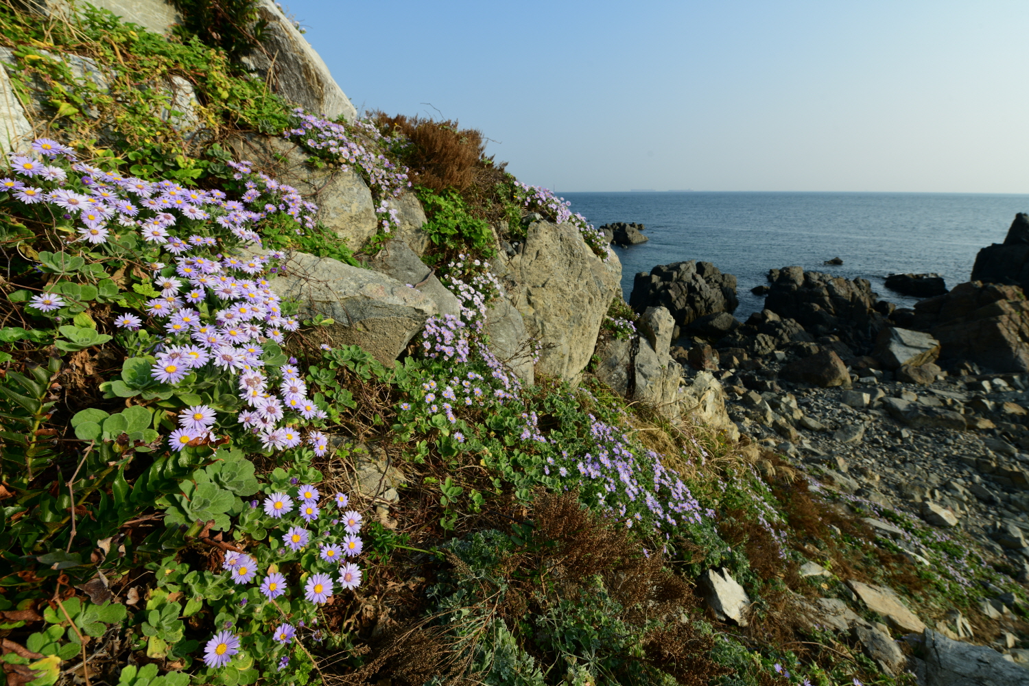 크기변환_DSC_4512.JPG
