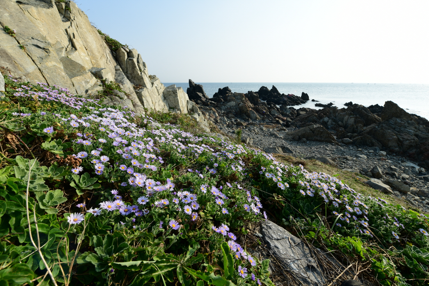 크기변환_DSC_4540.JPG