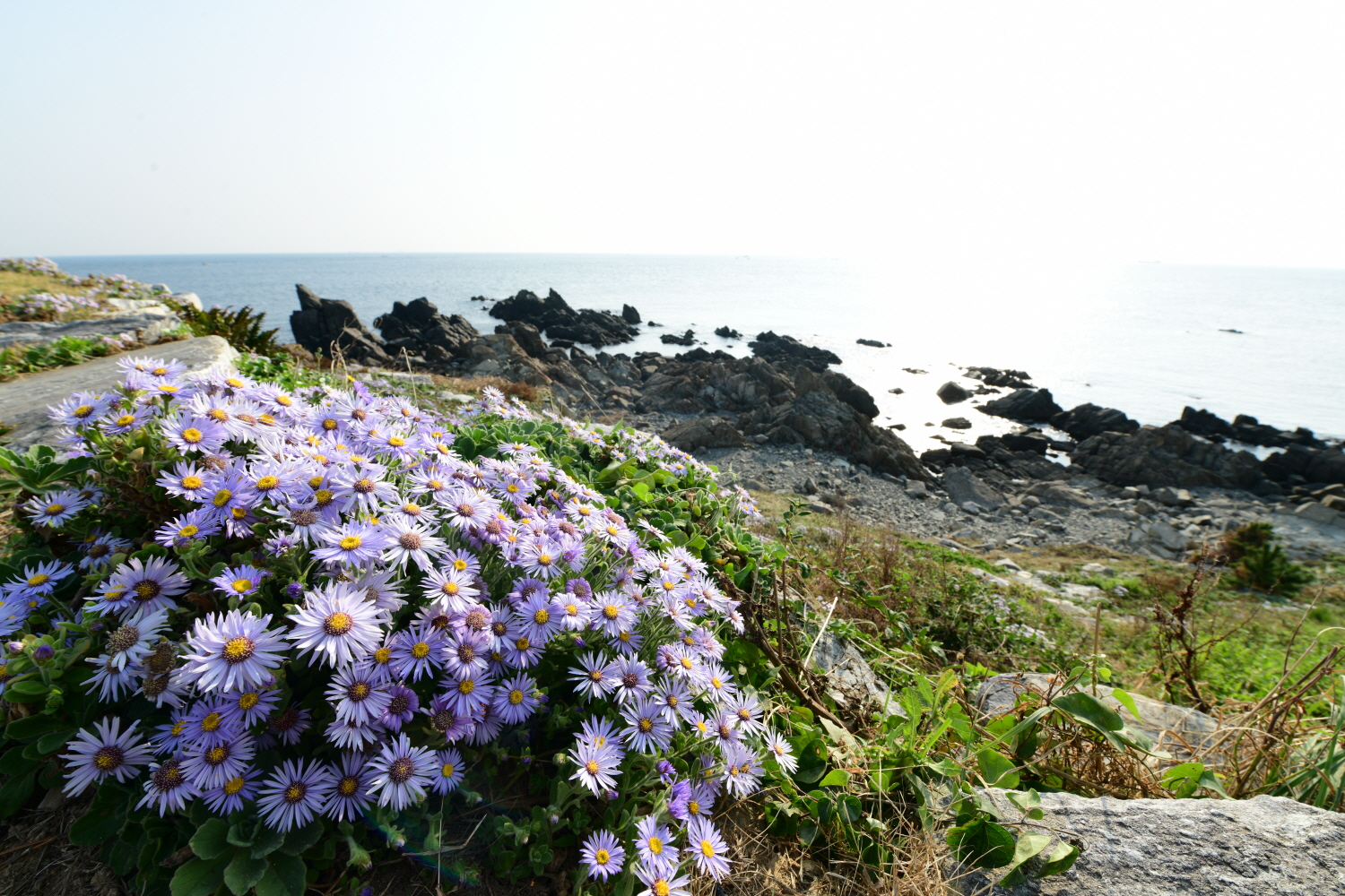 크기변환_DSC_4584.JPG