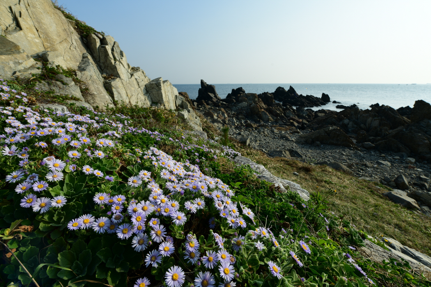 크기변환_DSC_4572.JPG