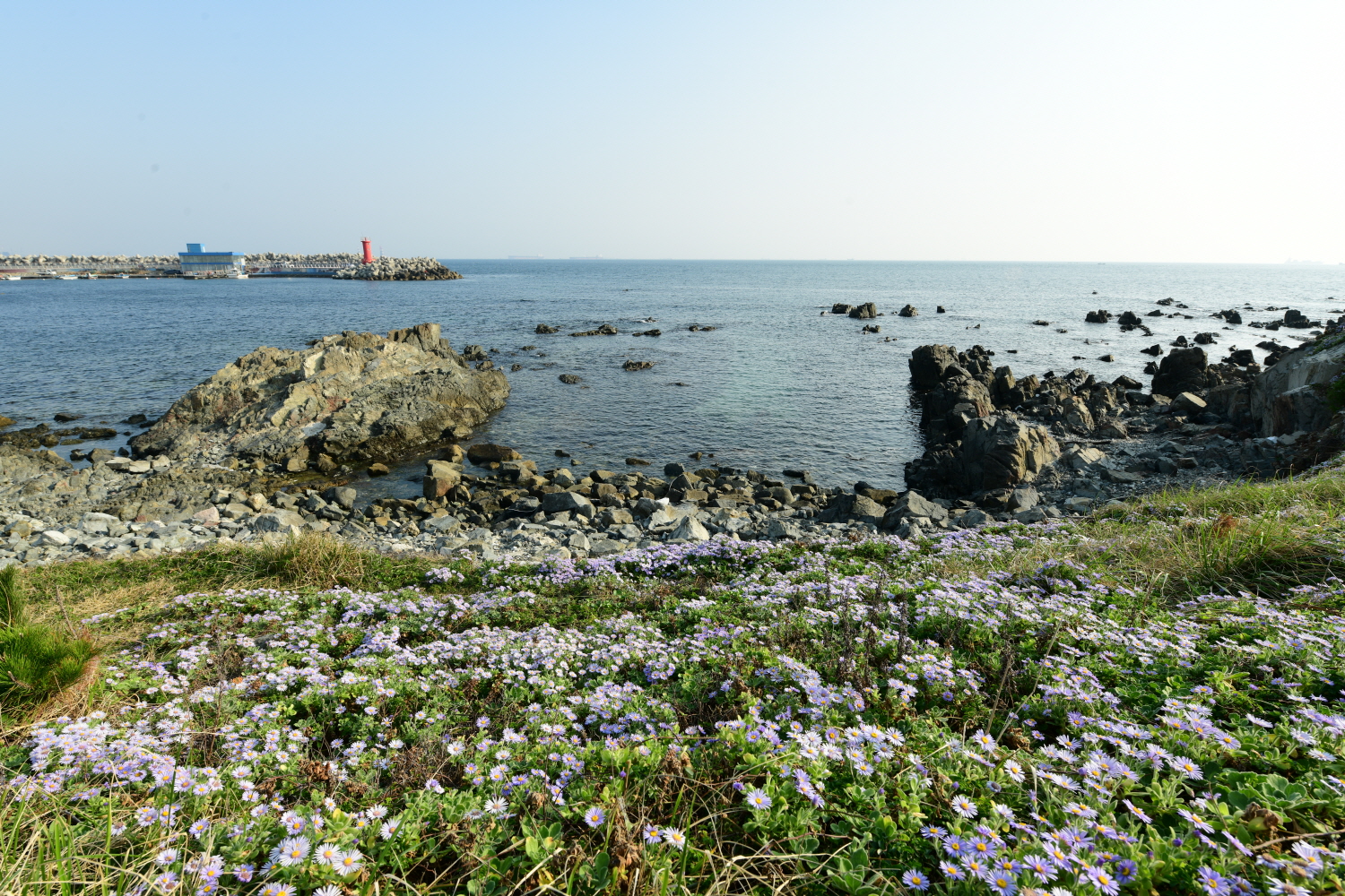 크기변환_DSC_4643.JPG