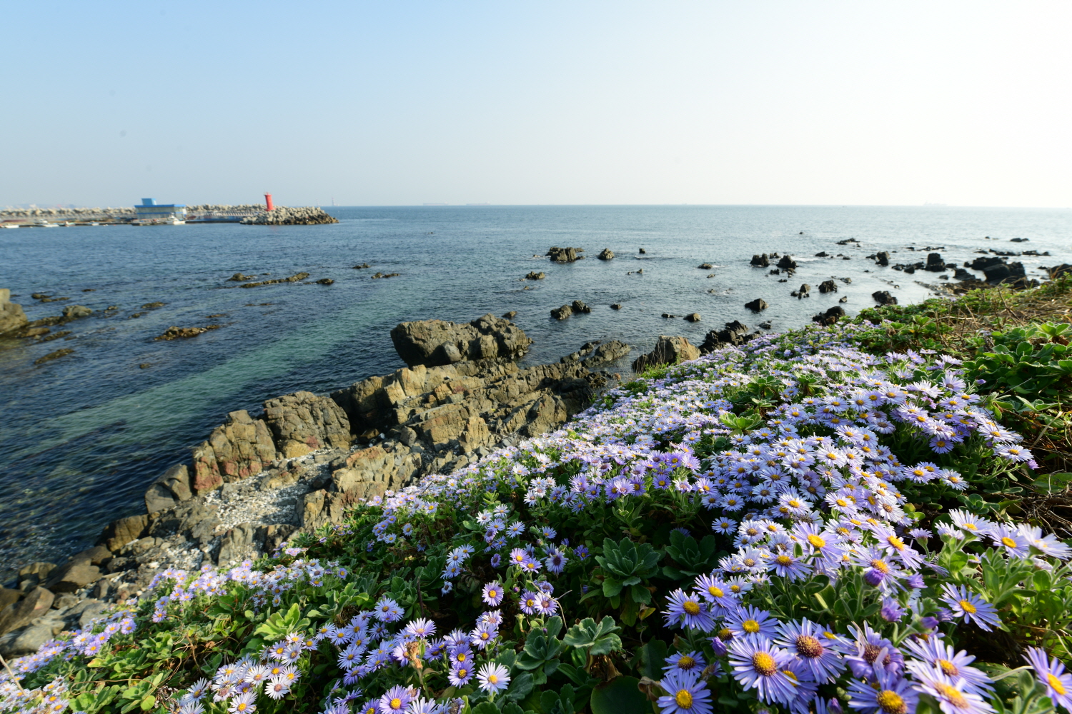 크기변환_DSC_4640.JPG