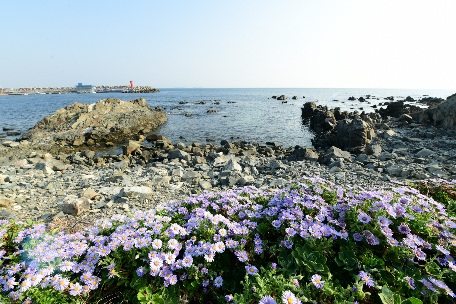 크기변환_DSC_4648.JPG