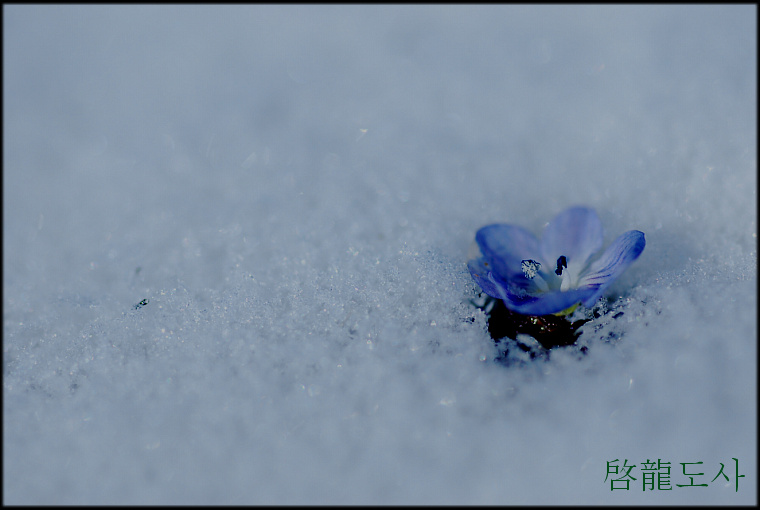 DSC_0138.jpg