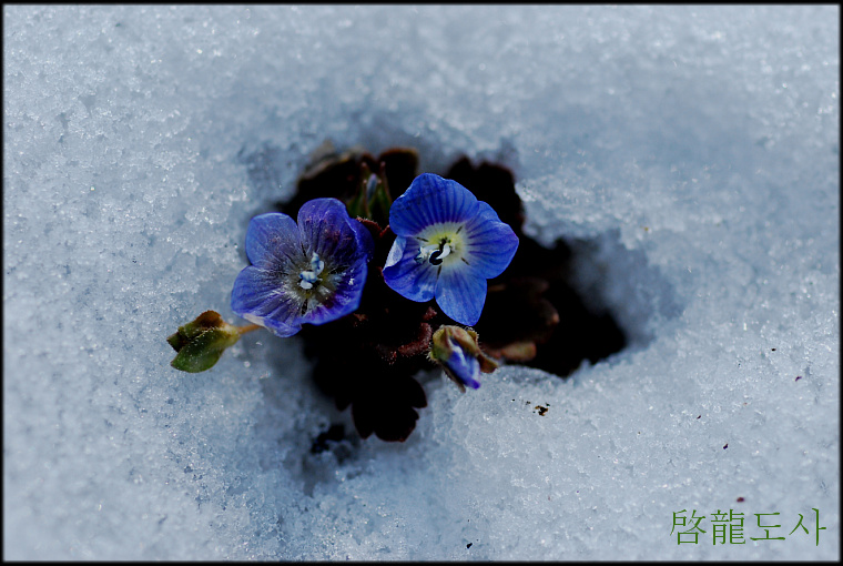 DSC_0183.jpg
