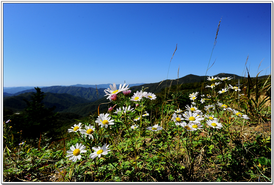 20100928_9900.jpg