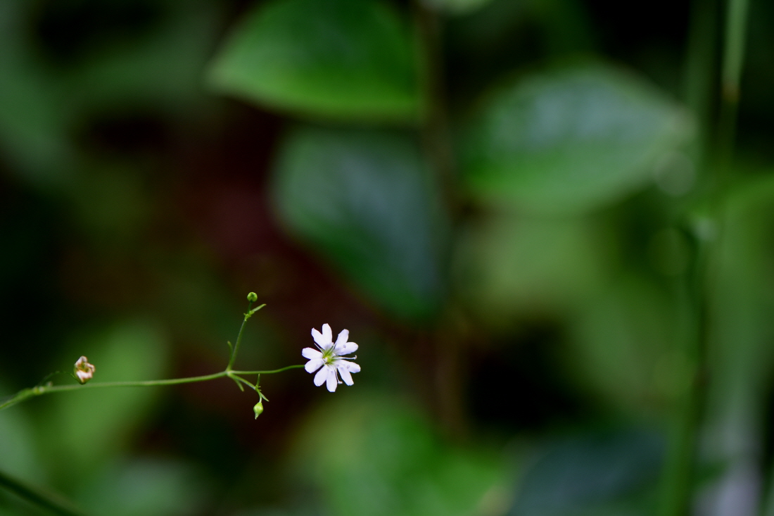 DSC_6478.JPG