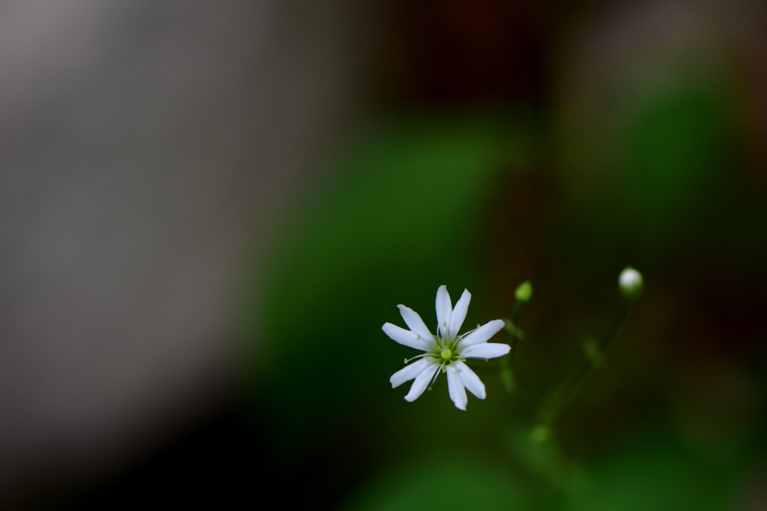 DSC_6683.JPG