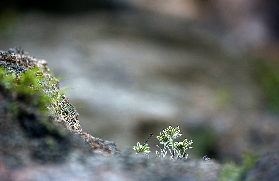 산솜...12.jpg