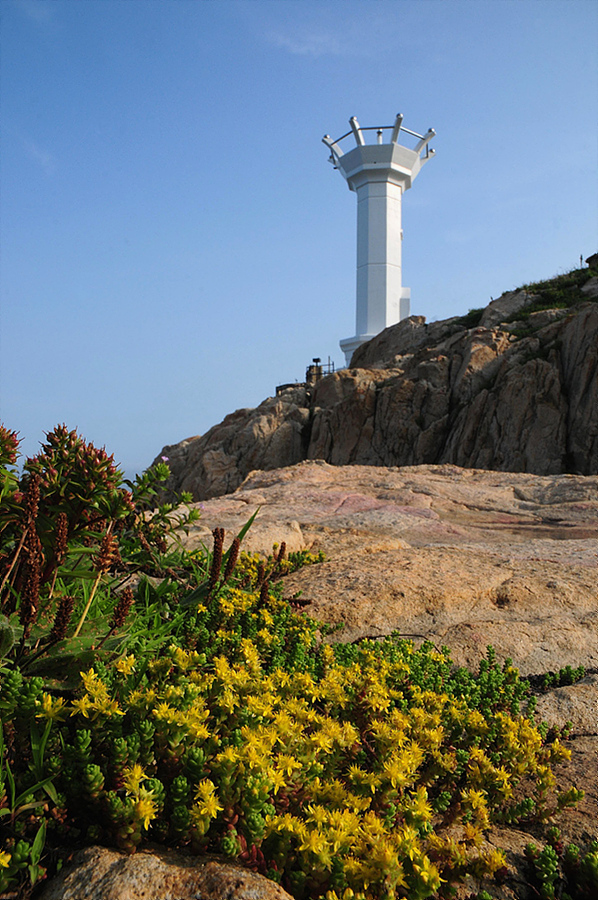 DSC_3632.jpg