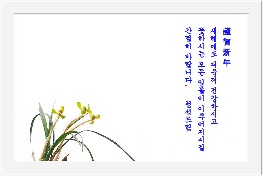보춘화 연하장.jpg