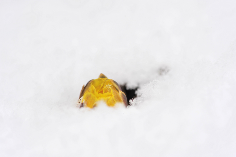 DSC_0491.jpg