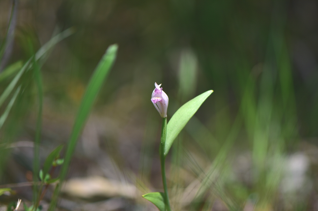 DSC_4901.JPG