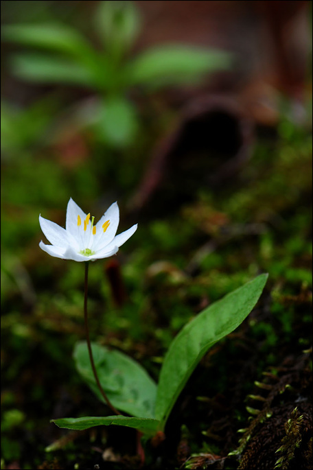 DSC_1240-1.jpg
