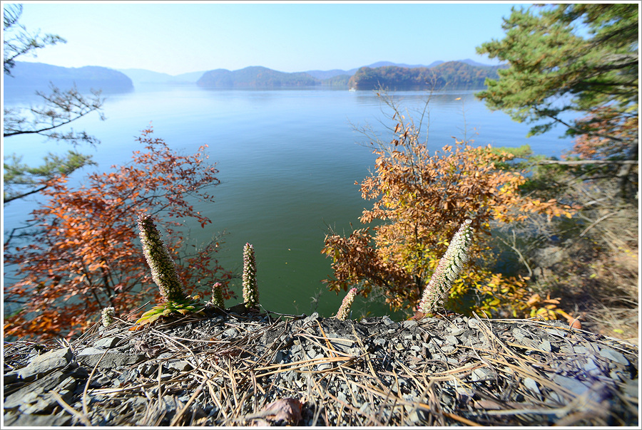 DSC_5869.jpg