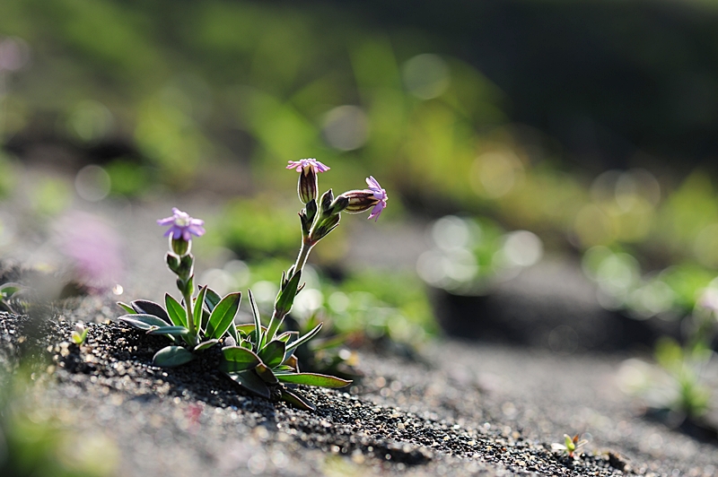 100425_172_01.JPG