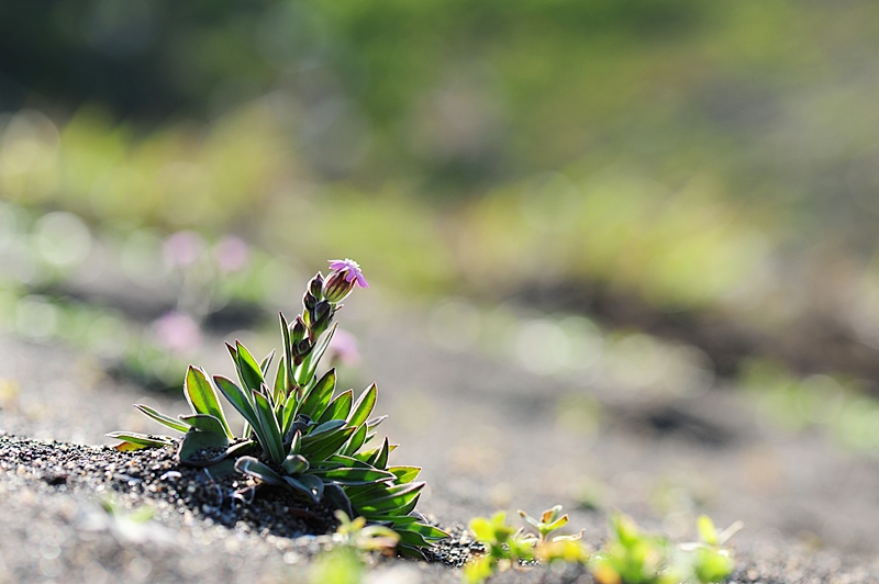 100425_164_01.JPG
