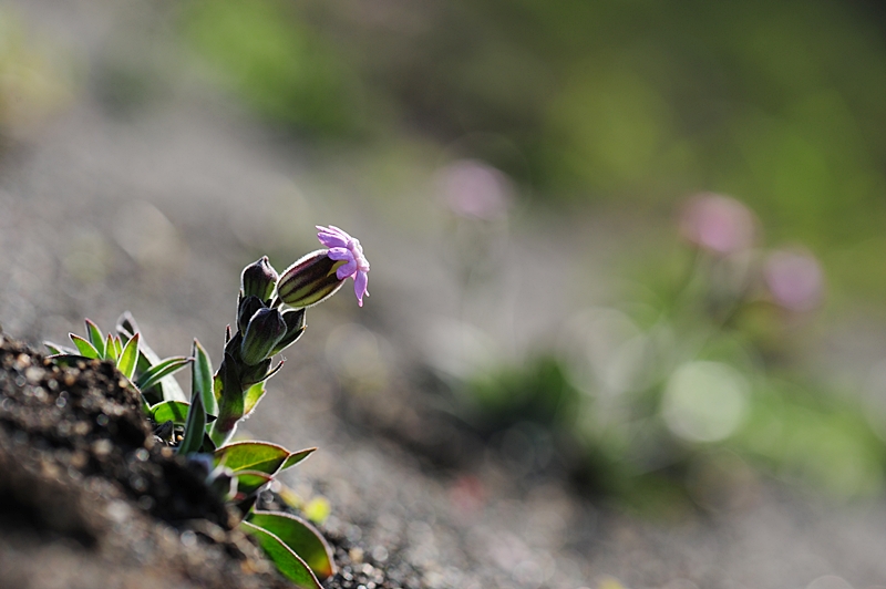 100425_190_01.JPG
