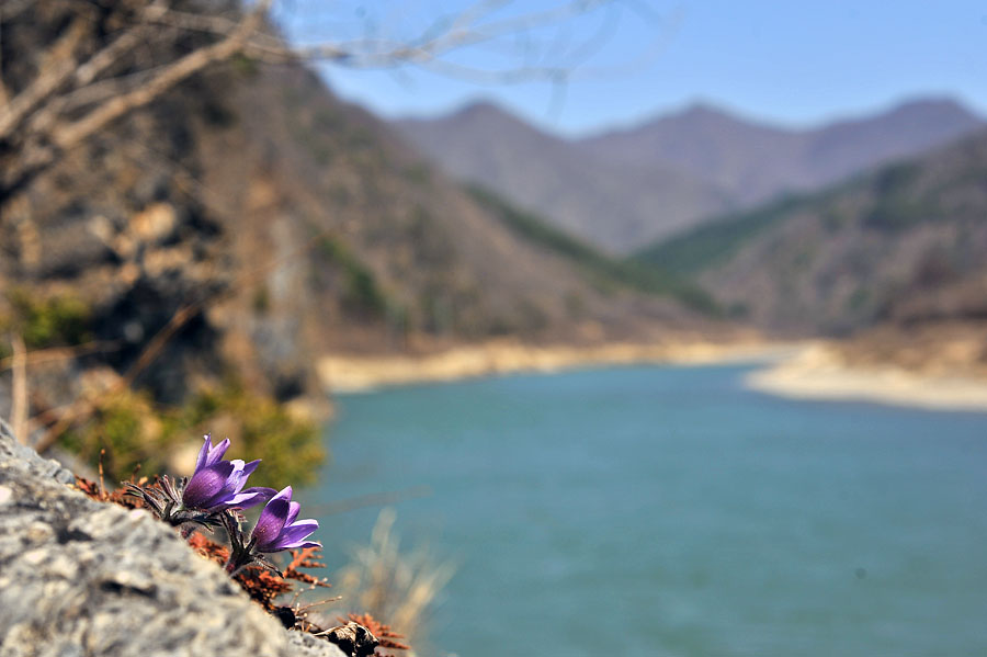 20120401_0224-1.jpg