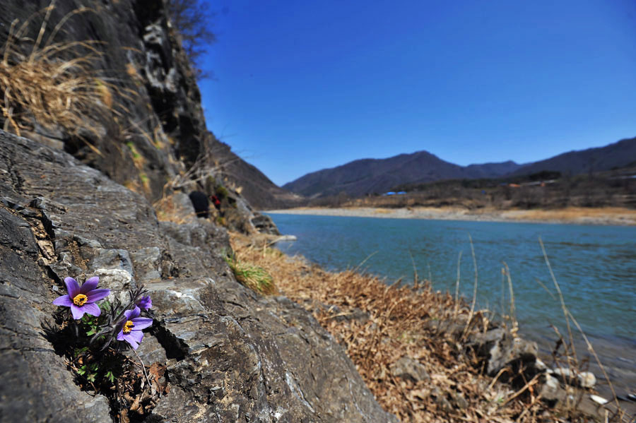 20120401_0119-1.jpg