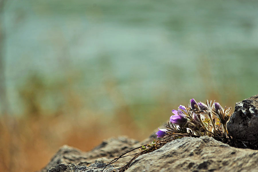 20120401_0290-1.jpg