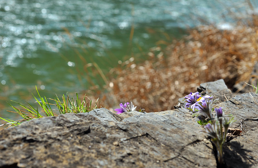 20120401_0012-1.jpg