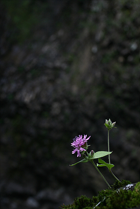 2009.09.12 073.jpg