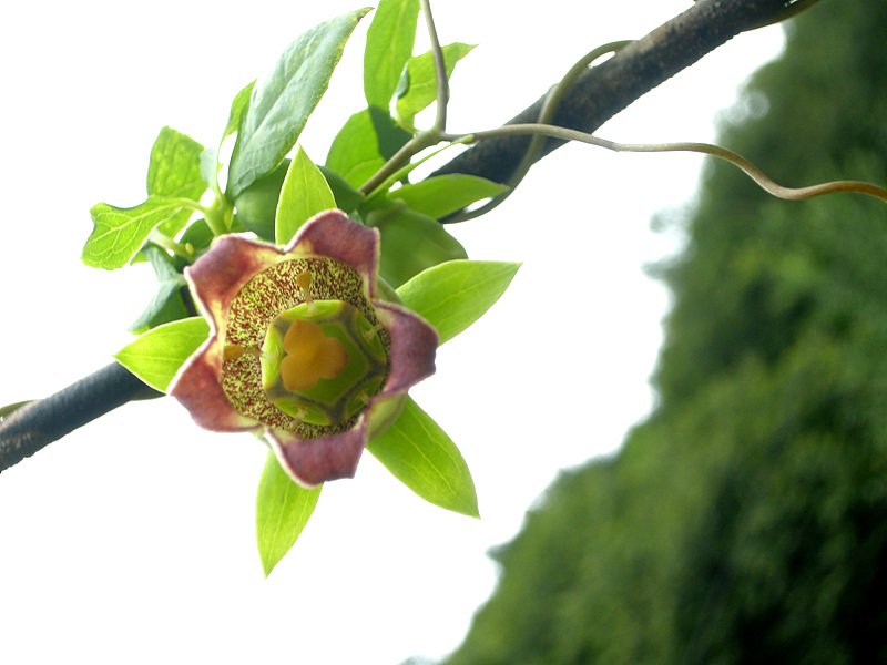 사진 076.jpg