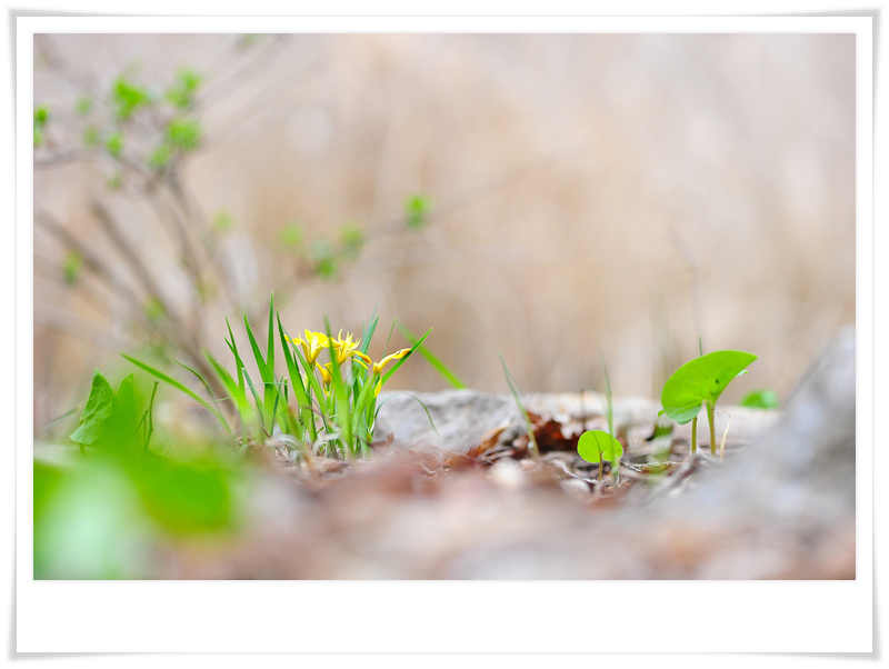 DSC_1841-1.jpg