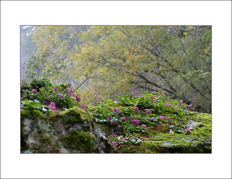 DSC_5459.jpg