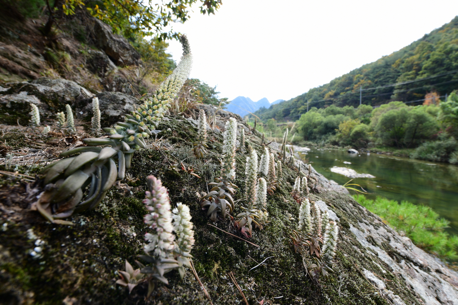 크기변환_DSC_3568.JPG