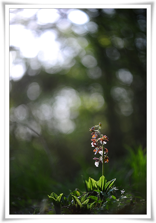 DSC_9784-1.jpg