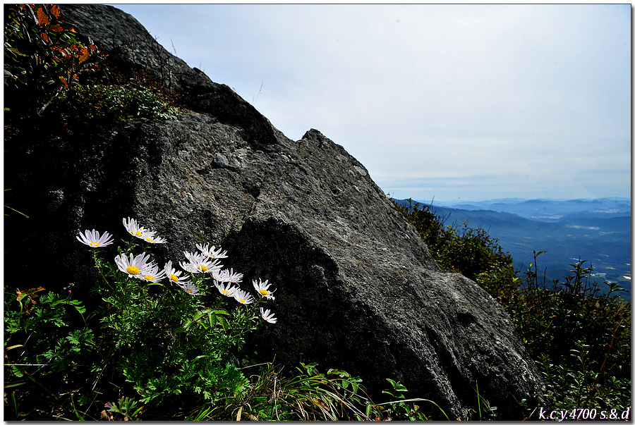 KCY_0960.jpg