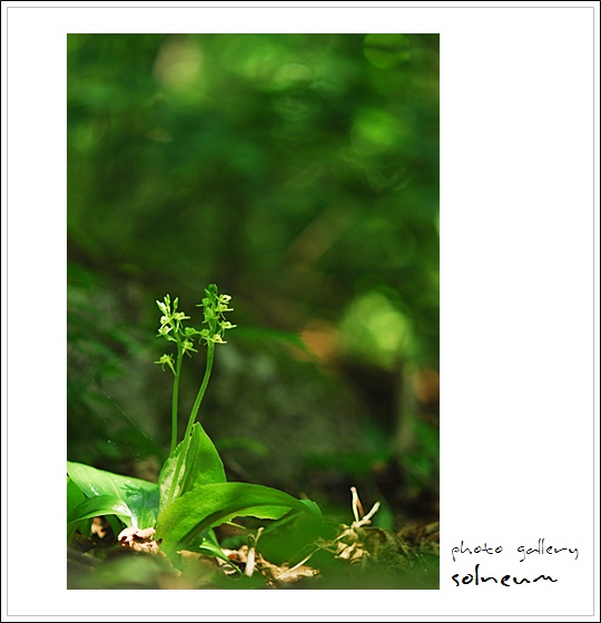palgong-oldload(09-06-18) 063s.jpg