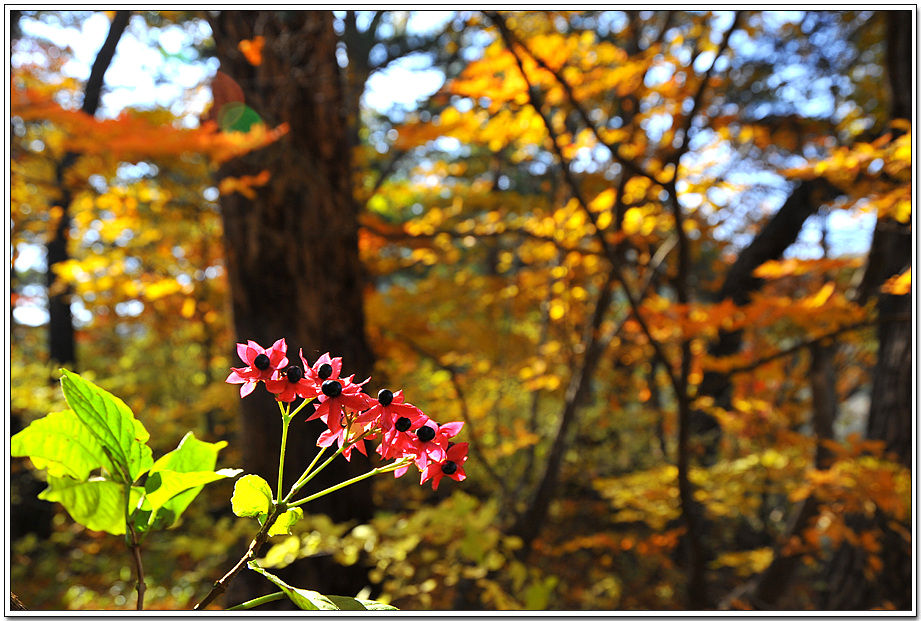 20101105_14016.jpg