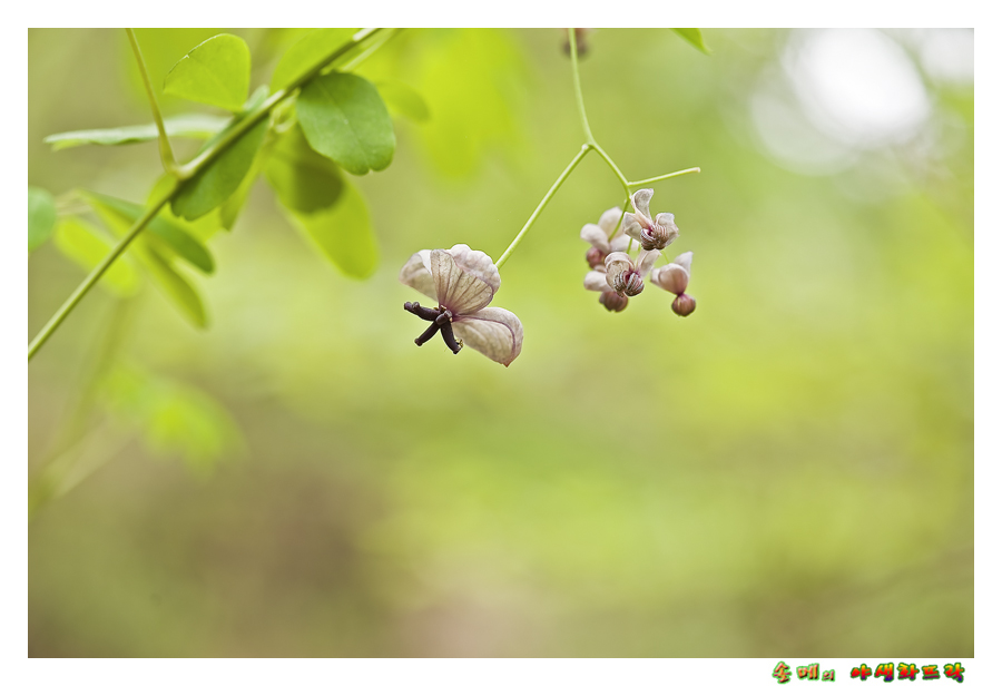 DSC_2587-1.jpg