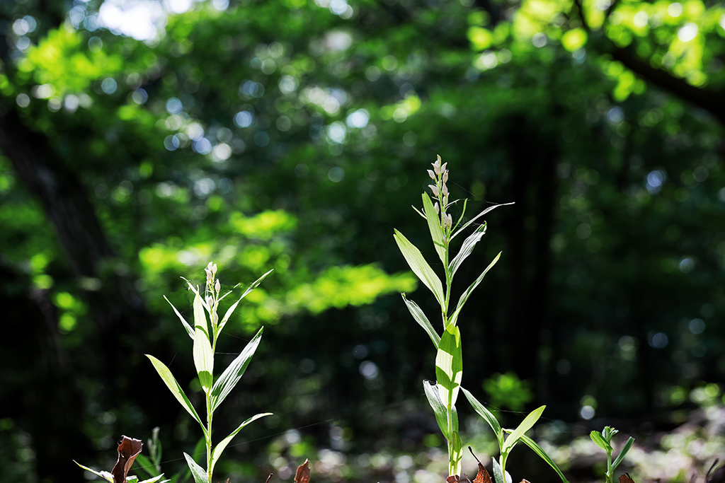 5A7A4821.psd-1.jpg