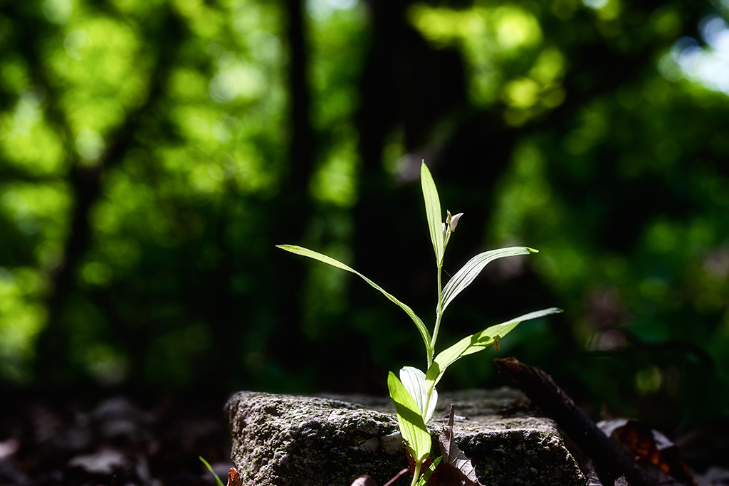 5A7A4826.psd-1.jpg