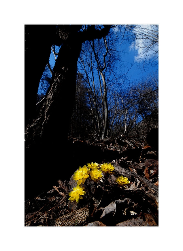 DSC_094.jpg