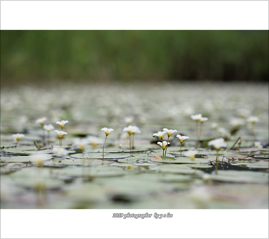 P39A7763.JPG