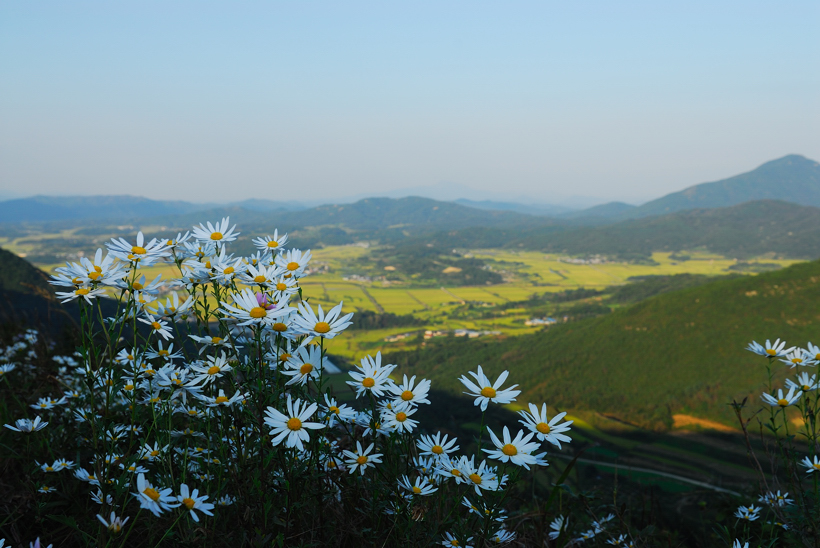 DSC_5361-1.jpg
