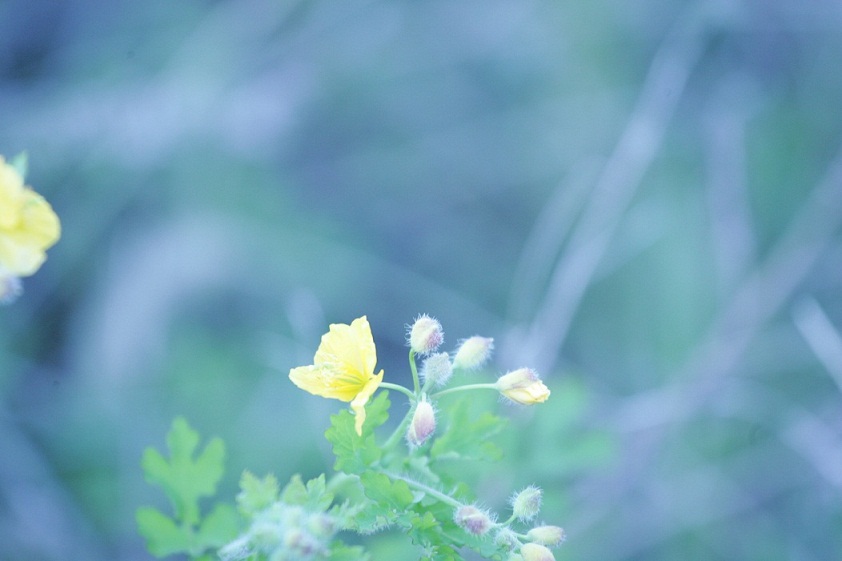 HB1F0731.JPG
